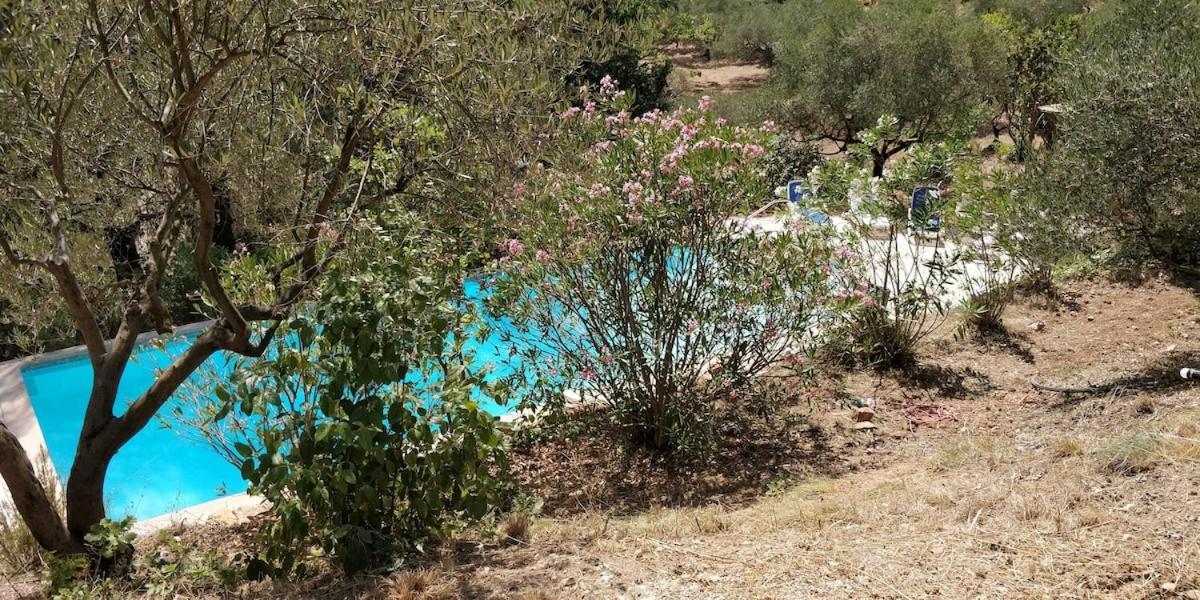Villa Cigalons En Pleine Pinede Avec Piscine Chauffee De Mai A Septembre オリオール エクステリア 写真